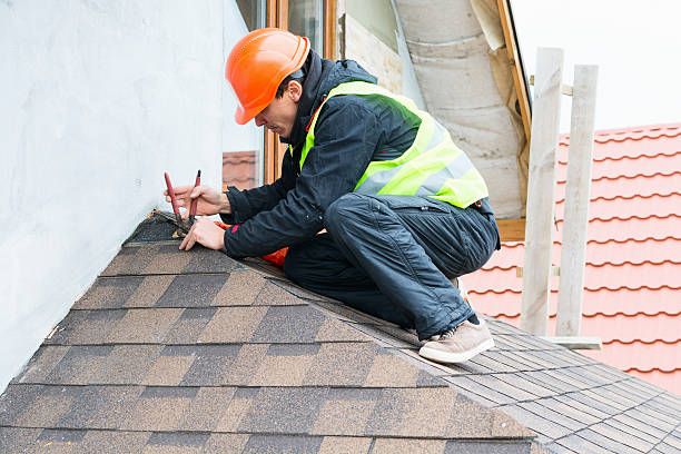 Best Local Roofing Companies  in Eddystone, PA